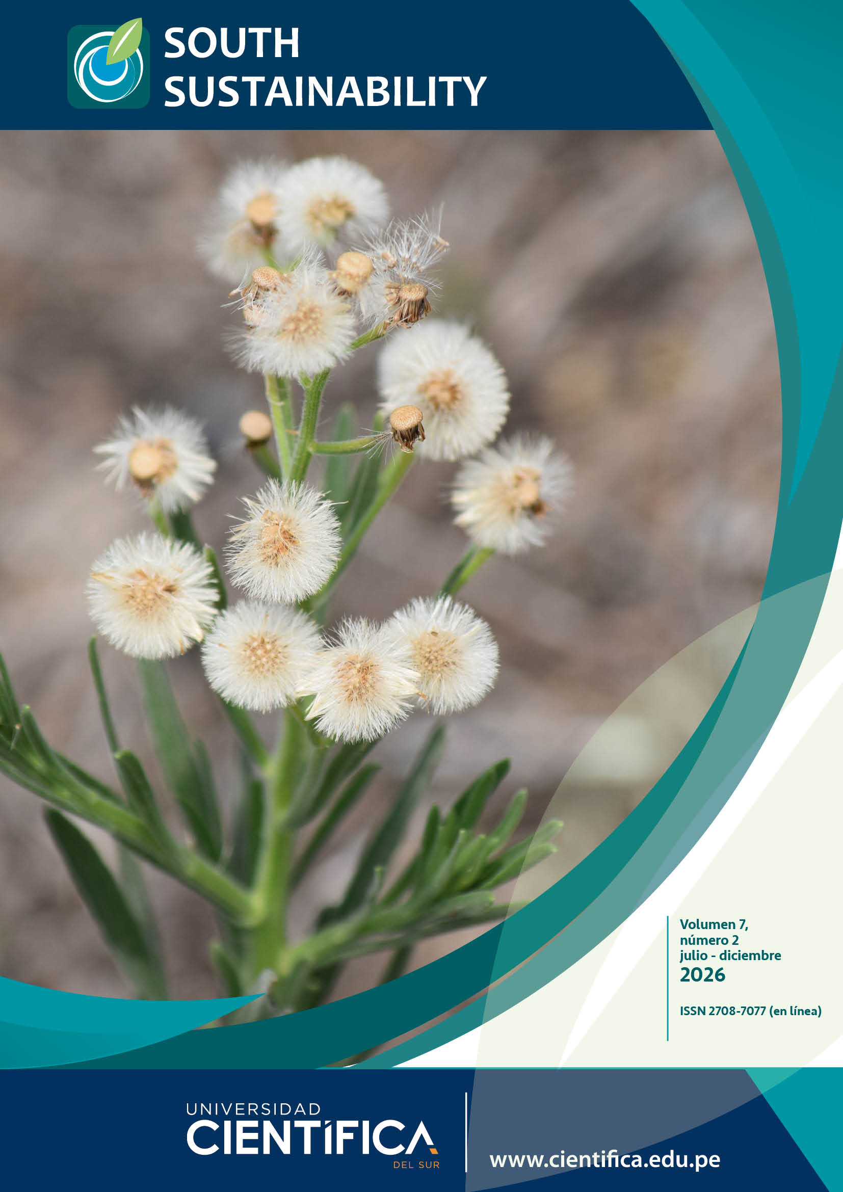 					View Vol. 7 No. 2 (2026): South Sustainability: July-December 2026
				